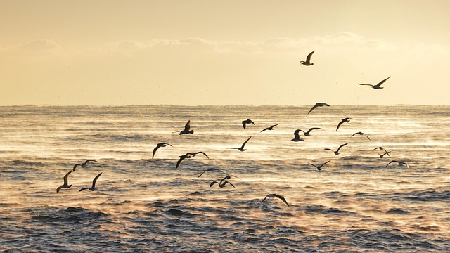 portret analityczki danych i autorki artykułów ekonomicznych
