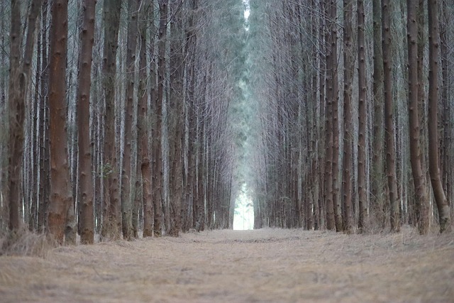 cyberbezpieczeństwo kłódka cyfrowa na tle kodu binarnego